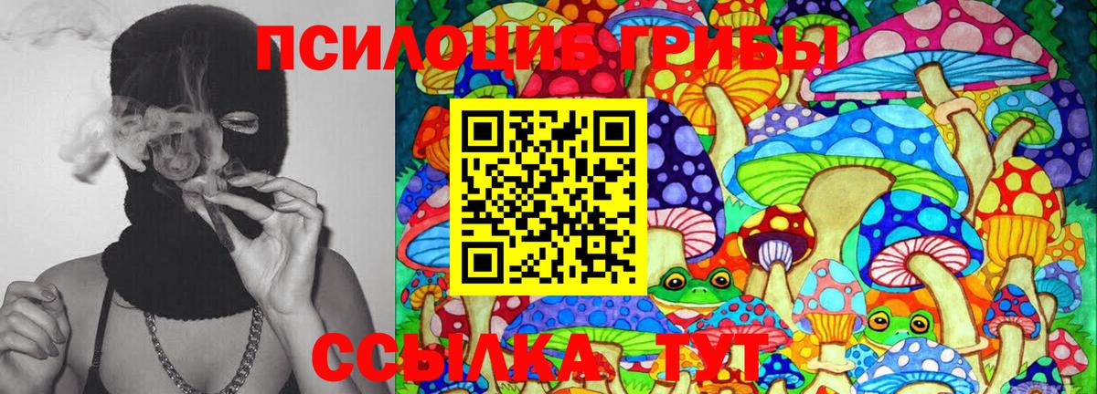 Галлюциногенные грибы Cubensis Красноуфимск
