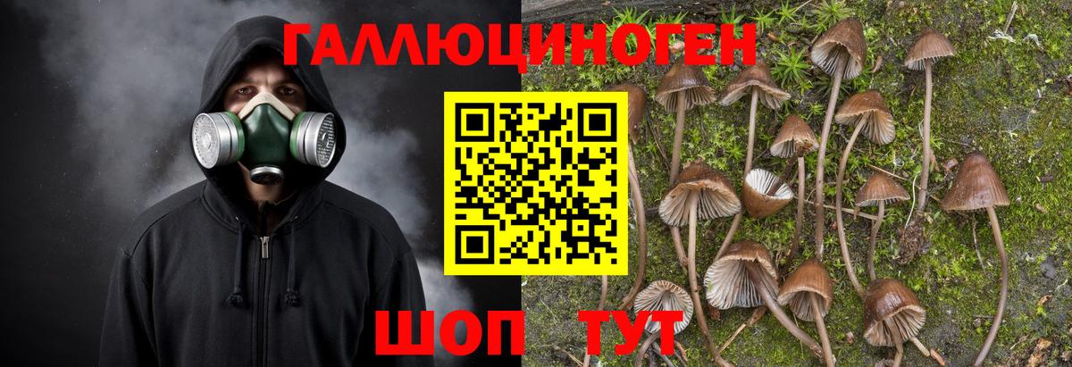 Псилоцибиновые грибы прущие грибы  цены наркотик  Красноуфимск  Галлюциногенные грибы MAGIC MUSHROOMS  Вход с VPN 